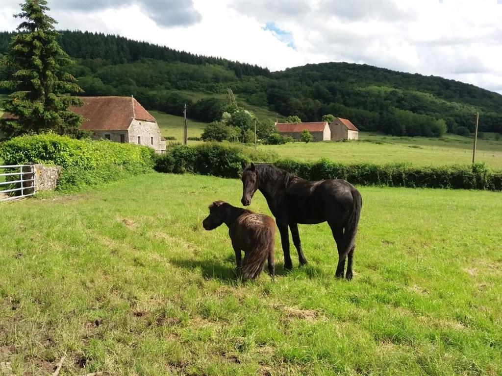 Gite Les Aubues Lormes Bagian luar foto
